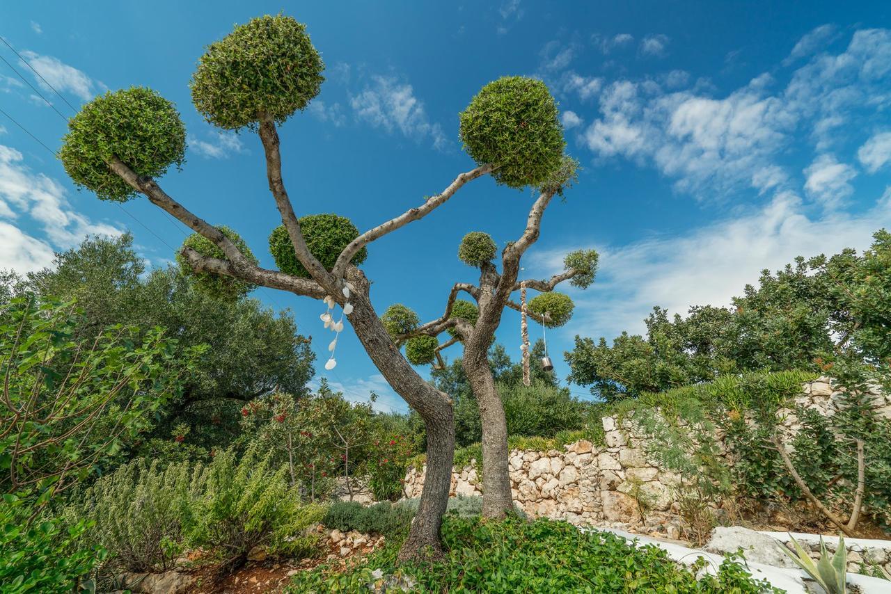 Askos Stone Villa - The Island Panorama Айос-Ніколаос Екстер'єр фото